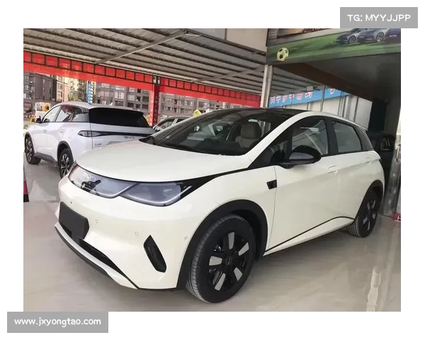 全新外观+天神之眼高阶智驾，新款比亚迪海豚实车曝光